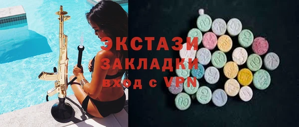 дживик Няндома