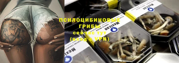 первитин Алексеевка