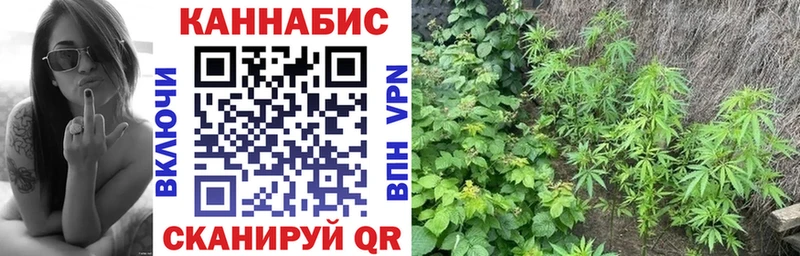 Бошки Шишки конопля  Апрелевка 